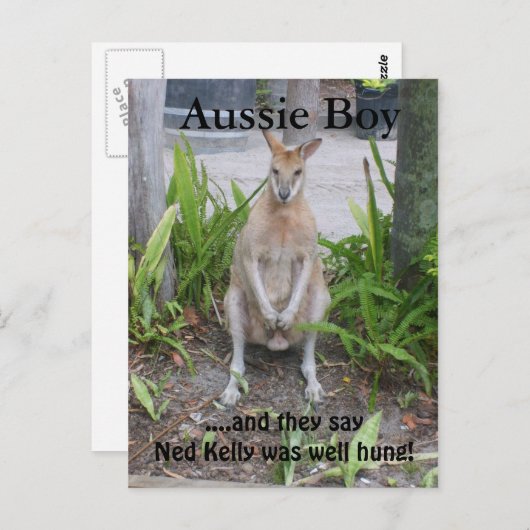 Aussie Boy, carte postale (Devant / Derrière)