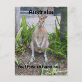 Aussie Boy, carte postale (Devant)