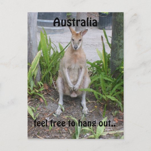 Aussie Boy, carte postale (Devant)