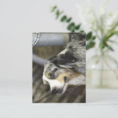 Aussie Briefkaart (Staand voorkant)