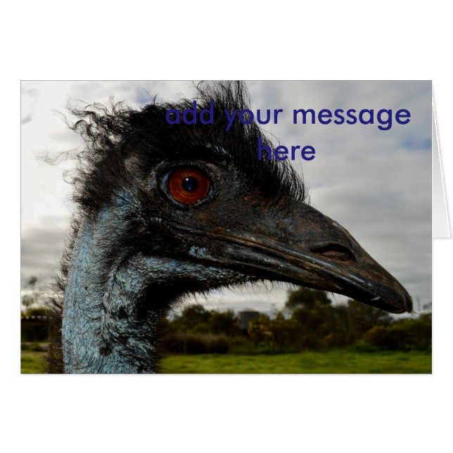 Aussie Emu Attraction (Voorkant Horizontaal)