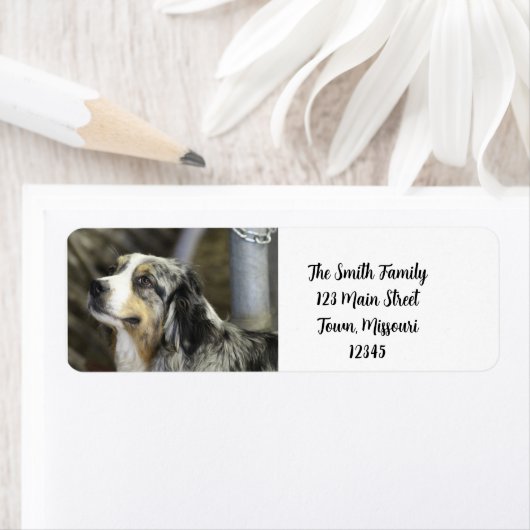 Aussie Etiket (Insitu)