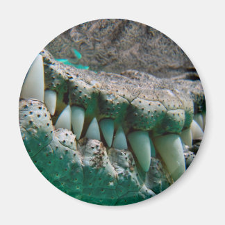 Aussie Icon - Big Croc Terry 2 - Magneet