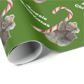 Aussie Kerstmis Koala Beer Candy Cane Cadeaupapier (Rol Hoek)