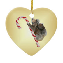 Aussie Kerstmis Koalas op snoepriet