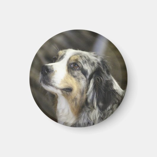 Aussie Magneet (Voorkant)