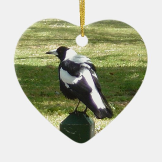 Aussie Magpie Keramisch Ornament (Voorkant)