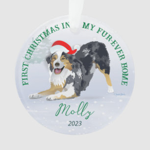 Aussie portant Santa Hat 2023