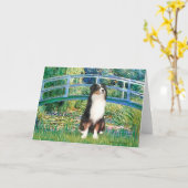 Aussie Shep (Tri2) - Brug Kaart (Gele Bloem)