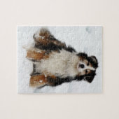 Aussie Shepherd Dog in sneeuw Legpuzzel (Horizontaal)