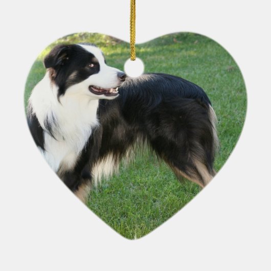 Aussie Shepherd Ornament (Achterkant)