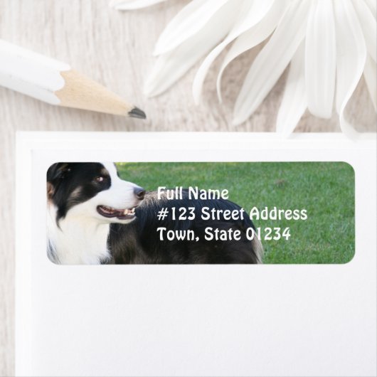 Aussie Shepherd retouradres Verzendlabels Etiket (Insitu)