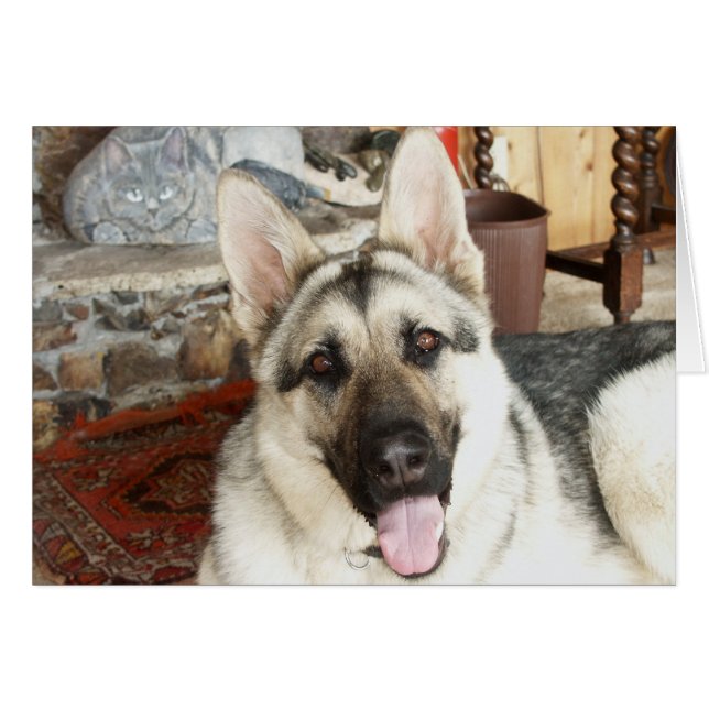 Aussie Sluiten (Voorkant Horizontaal)