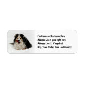 Aussie Tong Hond Etiket (Voorkant)