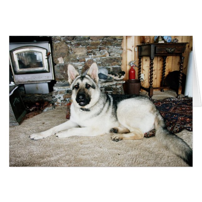 Aussie volledig Uitzicht/Fireplace (Voorkant Horizontaal)