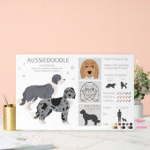 Aussiedoodle chien mélange (Mariage)