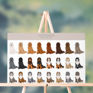 Aussiedoodle hondenmix acryl bord