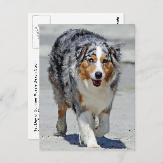 Aussies - 1e dag van de zomerkraam briefkaart (Voorkant / Achterkant)