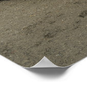 Austin Healey 3000 Poster (Hoek)