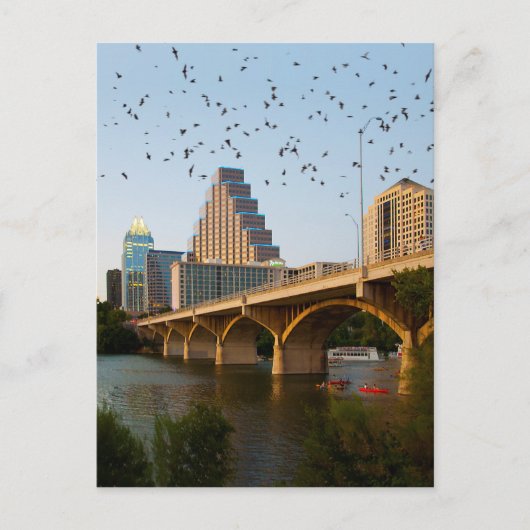 Austin, Texas Congress Bridge Bats Briefkaart (Voorkant)