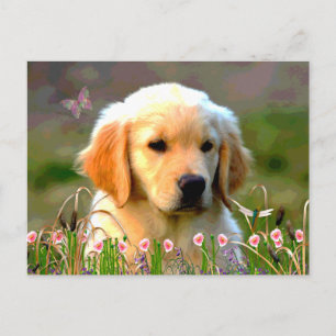 Austin The Golden Labrador Briefkaart