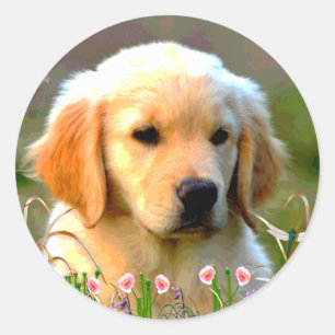 Austin The Golden Labrador Ronde Sticker