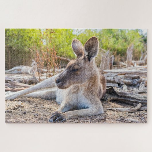 Austrailian Kangaroo Resting Legpuzzel (Horizontaal)