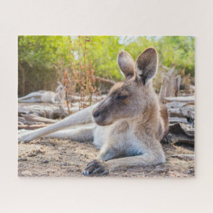 Austrailian Kangaroo Resting Legpuzzel