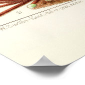 Australia  Great Barrier Reef Poster (Hoek)