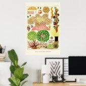 Australia  Great Barrier Reef Poster (Thuiskantoor)
