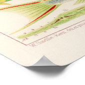 Australia, Great Barrier Reef vintage art poster (Coin)