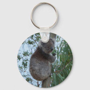 Australia Kangaroo Island Koala in een boom Sleutelhanger