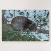 Australia Kangaroo Island Koala Tree, 1014 stuks Legpuzzel (Horizontaal)