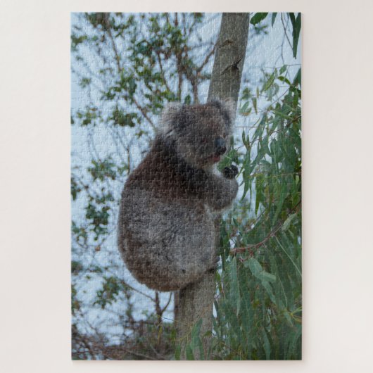 Australia Kangaroo Island Koala Tree, 1014 stuks Legpuzzel (Verticaal)