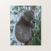 Australia Kangaroo Island Koala Tree, 252 stuks Legpuzzel (Verticaal)