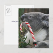Australia KerstKoala Beer Feestdagenkaart (Voorkant / Achterkant)