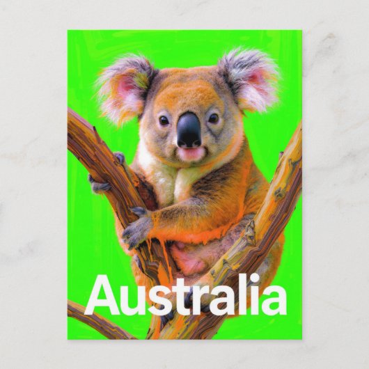 Australia Koala Bear Pop Art Briefkaart (Voorkant)