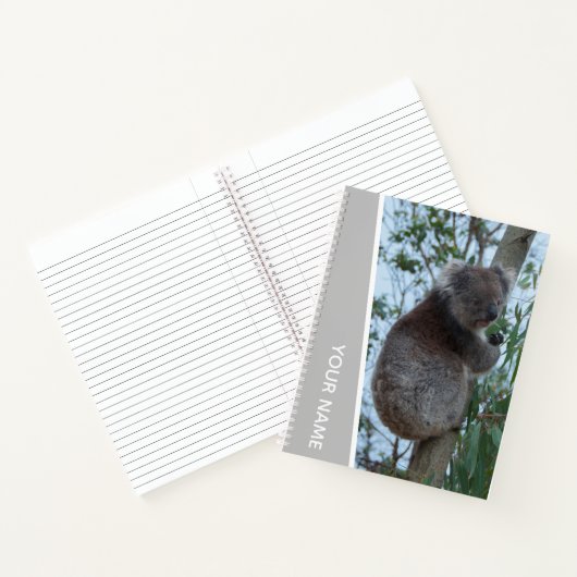 Australia Koala in a Eucalyptus Tree (zilver) Notitieboek (Binnen)