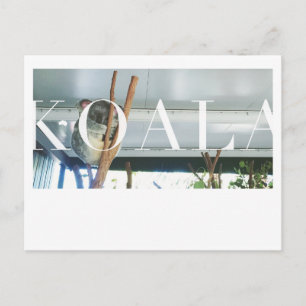 Australia Koala Post Card Briefkaart