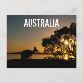 Australia Queensland Mountains Kangaroo Sunset Briefkaart