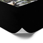 AUSTRALIA RAINFOREST POSTER (Hoek)