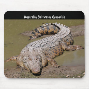 Australia Saltwater Crocodile Muismat