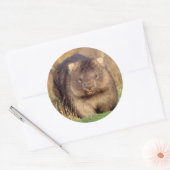 Australia Wombat Ronde Sticker (Envelop)