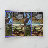 Australian Animal Collage, Birthday Greeting Card Kaart (Binnen)