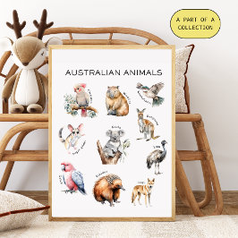 Australian Animals Educational Poster Perfect Poster