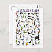 Australian Birds Chart briefkaart (Voorkant / Achterkant)