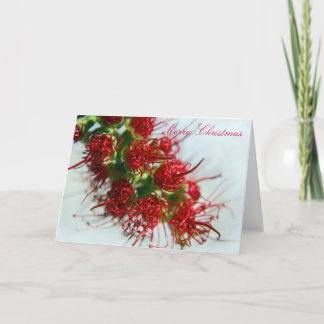Australian Bottlebrush Christmas Kaart