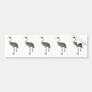 Australian Brolga Bumpersticker