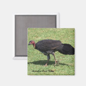 Australian Brush (Struik) Turkije Magneet (Voorkant / Achterkant)