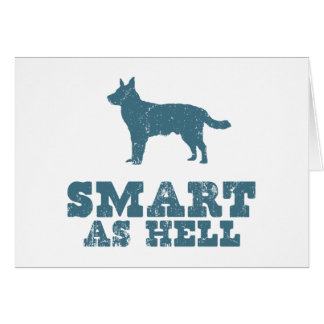 Australian Cattle Dog